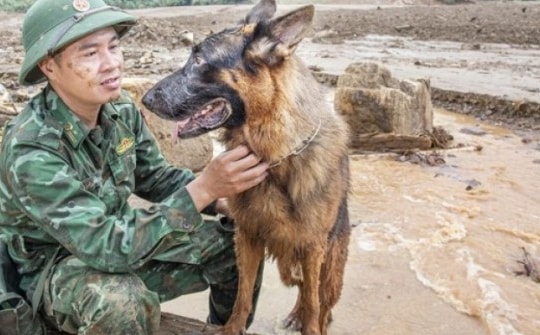 Vào Làng Nủ, gặp chú chó từng đi cứu hộ quốc tế