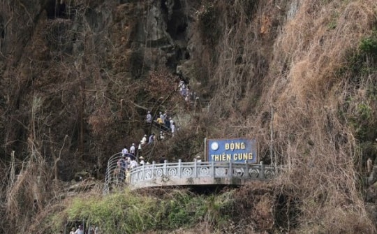 Xót xa thảm thực vật trên Vịnh Hạ Long có nguy cơ chết khô sau bão