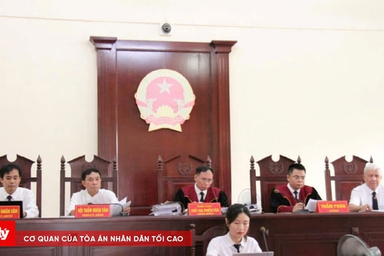 Xét xử đường dây mua bán trẻ em