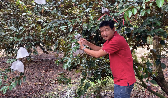 Ông nông dân trồng loại quả "đột biến", thu 3,5 tỷ đồng/năm rất nhẹ nhàng