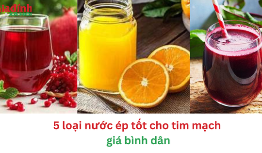 5 loại nước ép tốt cho tim mạch giá bình dân