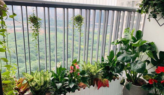 Cách trang trí ban công chung cư đẹp cuốn hút mà tiết kiệm chi phí