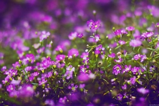 Đúng 18h hôm nay, ngày 21/9/2024, 3 con giáp vận may chói sáng, sự nghiệp phát đạt, giàu sang phú quý