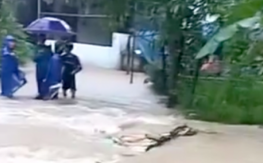 Đưa con đi học về, 3 mẹ con bị lũ cuốn trôi