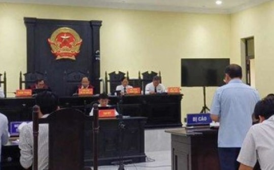 Hai cha con “đại gia điện gió” ở miền Tây lãnh án vì lừa đảo