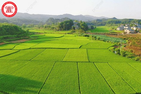 Có cần được chấp thuận chủ trương đầu tư khi chuyển đất ở đô thị sang đất thương mại dịch vụ?