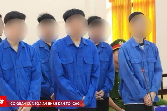 Phạt tù nhóm thanh thiếu niên dùng gạch đánh trẻ em