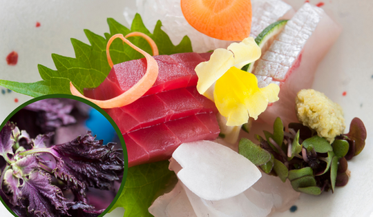 Loại rau người Nhật ví như 'thuốc trường thọ, lá hồi sinh': bán đầy ở chợ Việt, rẻ như cho, cực dễ chế biến