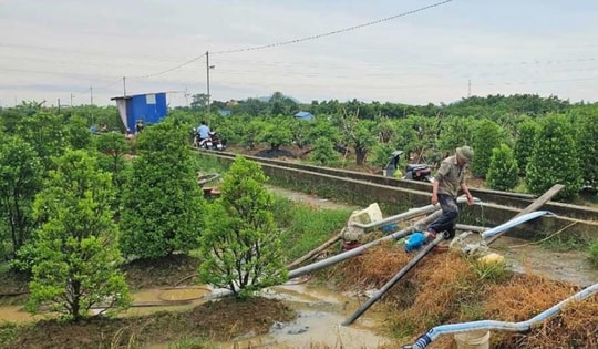 Sau bão số 3: Các địa phương tập trung tái thiết sản xuất, kinh doanh như thế nào?