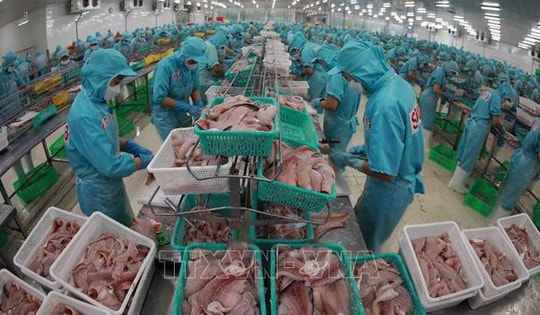 Bộ Thương mại Mỹ tuyên bố Việt Nam không bán phá giá sản phẩm cá tra