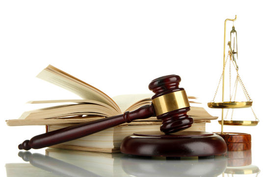 Thủ tướng Chính phủ bãi bỏ 37 VBQPPL về tổ chức, nhân sự, cơ chế tài chính đặc thù,...