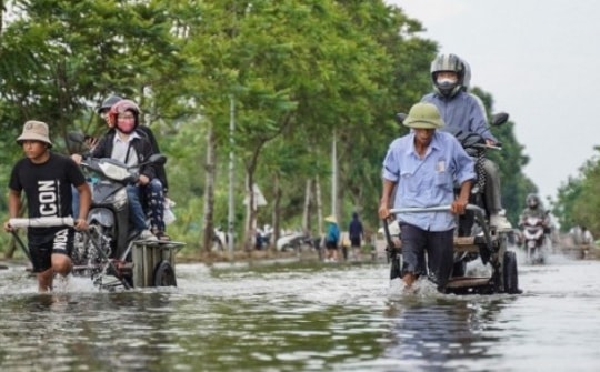 Người dân qua đại lộ Thăng Long bỏ 50.000 đồng/lượt xe bò để ‘vượt ngập’