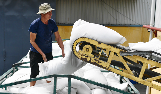 ‘Hạt ngọc’ Việt ‘ôm’ về 4 tỷ USD, nhiều đơn hàng rất lớn ở Đông Nam Á