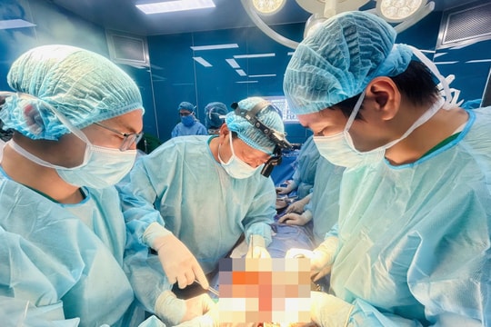 Hồi sinh nhờ lá phổi từ người cho chết não