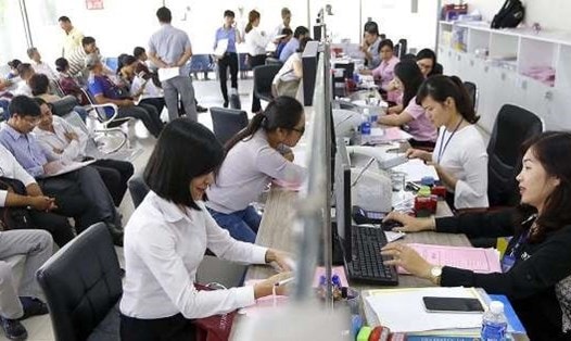 Ban hành danh mục vị trí việc làm vào năm 2025 đúng không?