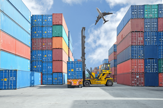 Danh mục thực phẩm đã xác định mã số hàng hóa phải kiểm tra ATTP nhập khẩu thuộc quản lý của Bộ Y tế (Thông tư 15/2024/TT-BYT)