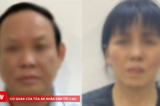 Cựu Chủ tịch NXB Giáo dục Việt Nam bị cáo buộc nhận hối lộ 24,9 tỉ đồng