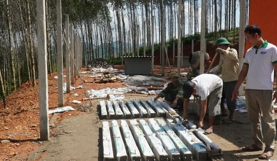 Anh nông dân nuôi con 'hiền lành' ham ăn, lãi 2,4 tỷ đồng/năm rất nhẹ nhàng