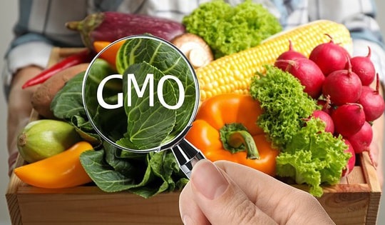 Ăn thực phẩm biến đổi gene có nguy cơ ung thư không?