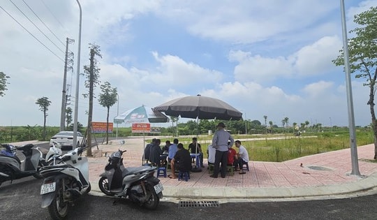 Có hiện tượng 'cò’ đấu giá đất thao túng thị trường