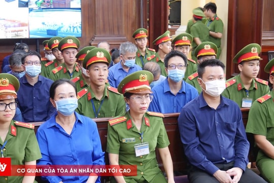 Lái xe của Trương Mỹ Lan khai vận chuyển hơn 108.000 tỷ đồng, mỗi lần được cho 500 đến 1 triệu