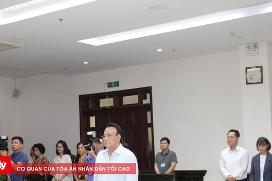 Vì sao ông chủ Tập đoàn Tân Hoàng Minh được đề nghị giảm án?