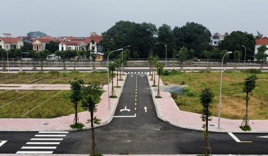 Người bỏ cọc đấu giá đất sẽ bị công khai danh tính và xử phạt