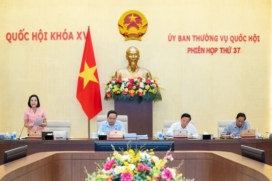 Rà soát kỹ, đánh giá tác động chính sách tiền lương, đãi ngộ, tôn vinh nhà giáo để đảm bảo tính khả thi