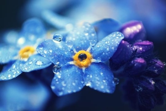 Thần Tài gọi tên, lộc tài vô biên, tiền chất thành núi, hạnh phúc đủ đầy với 3 con giáp trong 15 ngày đầu tháng 10