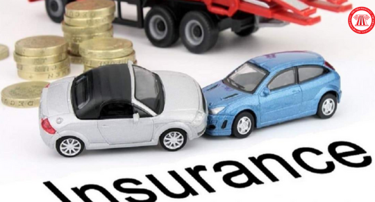 Cơ cấu tổ chức, quản trị điều hành của Quỹ bảo hiểm xe cơ giới theo quy định mới nhất