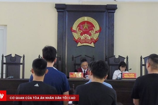 Xét xử 6 đối tượng trong đường dây cá độ bóng đá liên tỉnh