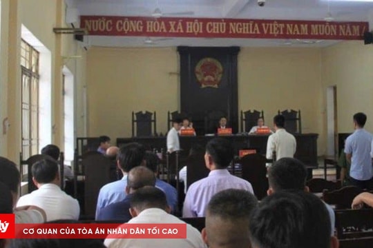 Tuyên án các bị cáo tại Trung tâm Đăng kiểm xe cơ giới 92-02D Quảng Nam