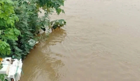 Cho con vào thùng xốp thả trôi sông, có thể truy cứu trách nhiệm hình sự người mẹ?