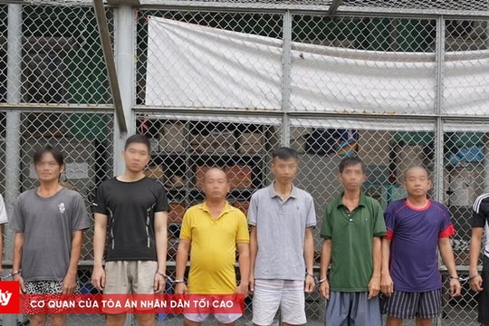 Bắt 8 đối tượng liên quan ma túy từ phát hiện của Tổ 363