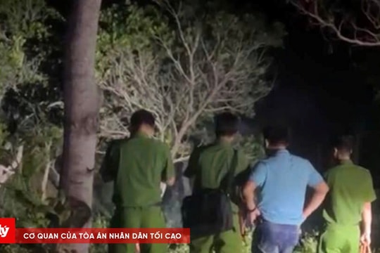 Truy tìm đối tượng nghi liên quan đến vụ thi thể phụ nữ không nguyên vẹn trong vườn điều