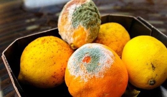 Ăn trái cây sống thế nào để không bị nhiễm bệnh trong mùa mưa?