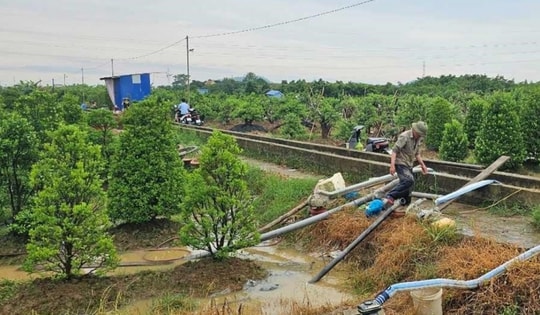 Khẩn trương khoanh nợ cho khách hàng bị thiệt hại nặng nề về vốn vay, tài sản hình thành từ vốn vay do hậu quả bão lũ