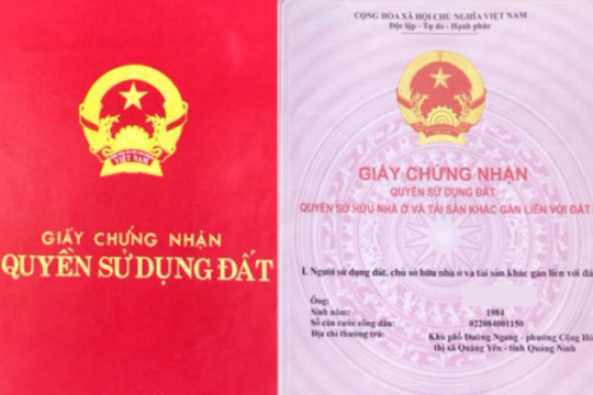 Sổ đỏ, Sổ hồng sai thông tin có bị Nhà nước thu hồi?