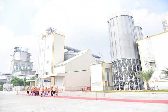 Aboitiz Foods khánh thành nhà máy thức ăn chăn nuôi công suất 300.000 tấn/năm tại Long An, quy mô lớn nhất Đông Nam Á