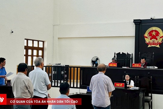 "Kỳ án" hủy hoại rừng tại Bình Thuận: Vì sao Viện kiểm sát rút một phần kháng nghị?