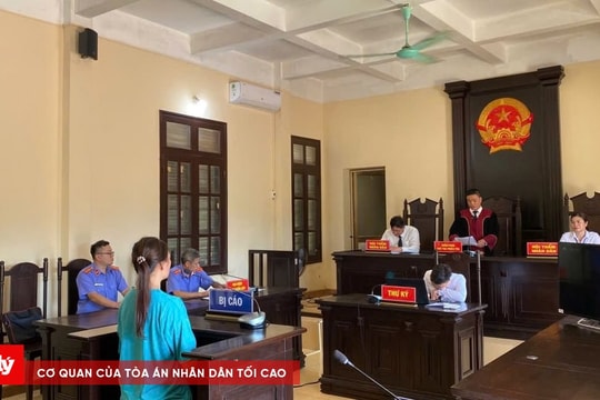 Trộm cắp tài sản của khách du lịch