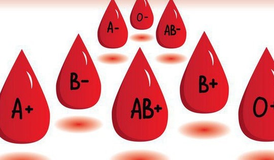 Người mang nhóm máu O, A, B, AB có nguy cơ mắc bệnh gì?