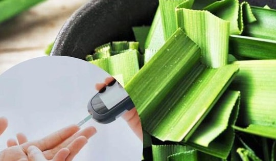 Loại lá có mùi thơm tự nhiên, giúp hạ đường huyết và ngừa cao huyết áp, người bệnh tiểu đường nên ăn để phòng bệnh