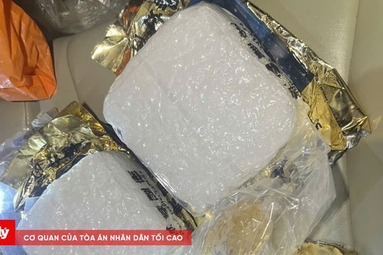 Triệt phá, bắt băng tội phạm vận chuyển ma túy liên tỉnh