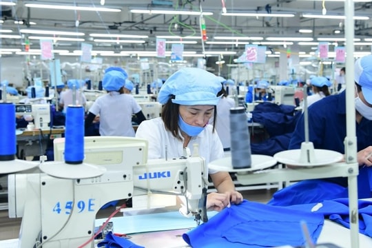 Dệt may Việt Nam đón đơn hàng chuyển dịch từ Bangladesh, lợi nhuận 9 tháng của Vinatex tăng hơn 70%