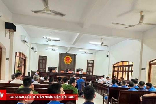 Giám đốc cùng nhiều nhân viên Trung tâm Đăng kiểm 60-04D hầu tòa