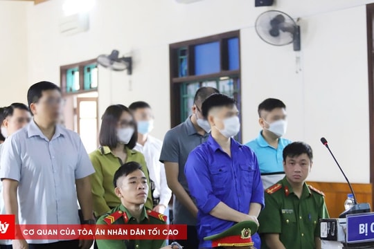 Xét xử nhóm bị cáo vi phạm đấu thầu gây hậu quả nghiêm trọng