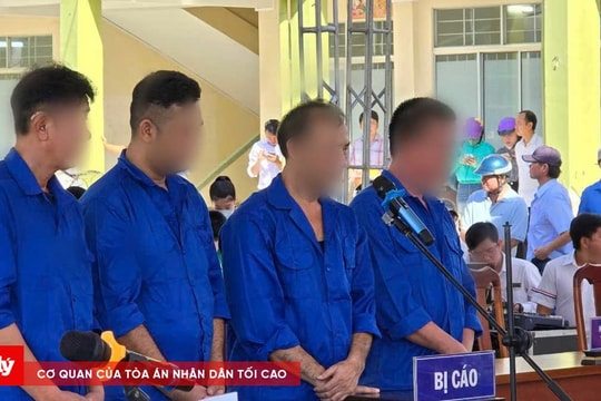 Xét xử lưu động vụ án môi giới xuất, nhập cảnh trái phép