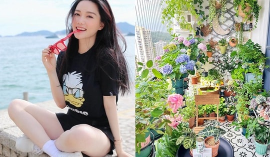 Ban công rộng 4m2 của mẹ đảm ở nhà chung cư vẫn có thể trồng hoa, nuôi cá cực đỉnh