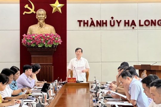 Tạm đình chỉ công tác Giám đốc Ban Quản lý dự án đầu tư xây dựng